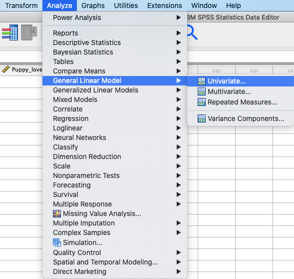 SPSS_Menu_ANCOVA3